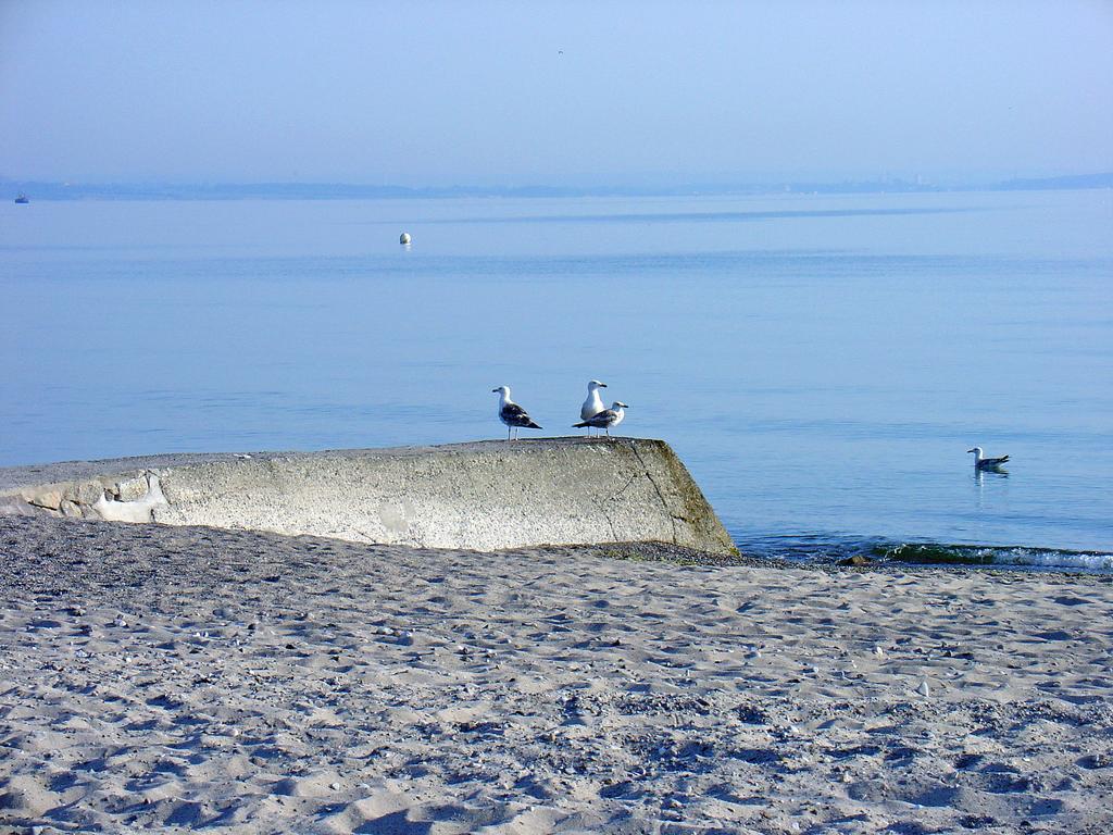 FeWo Machedanz mit Balkon Timmendorfer Strand OT Niendorf Exterior foto